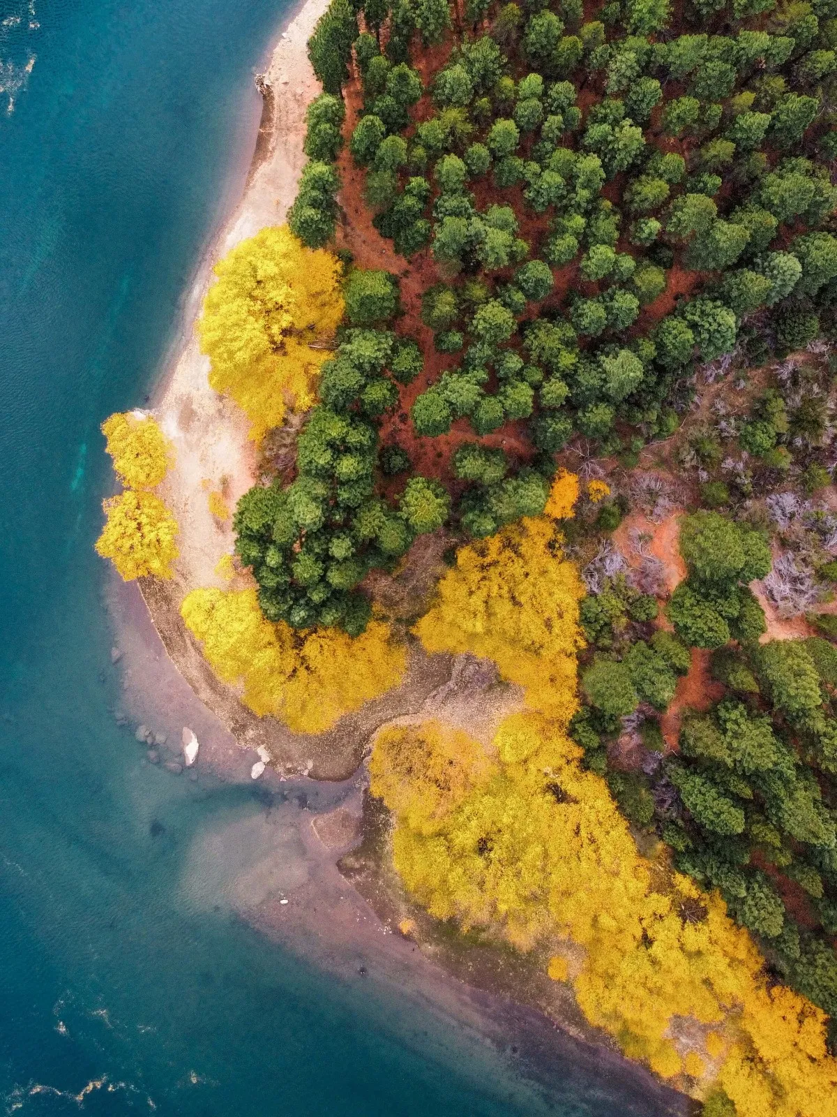 Trekking al Valle Encantado. - Imagen 27