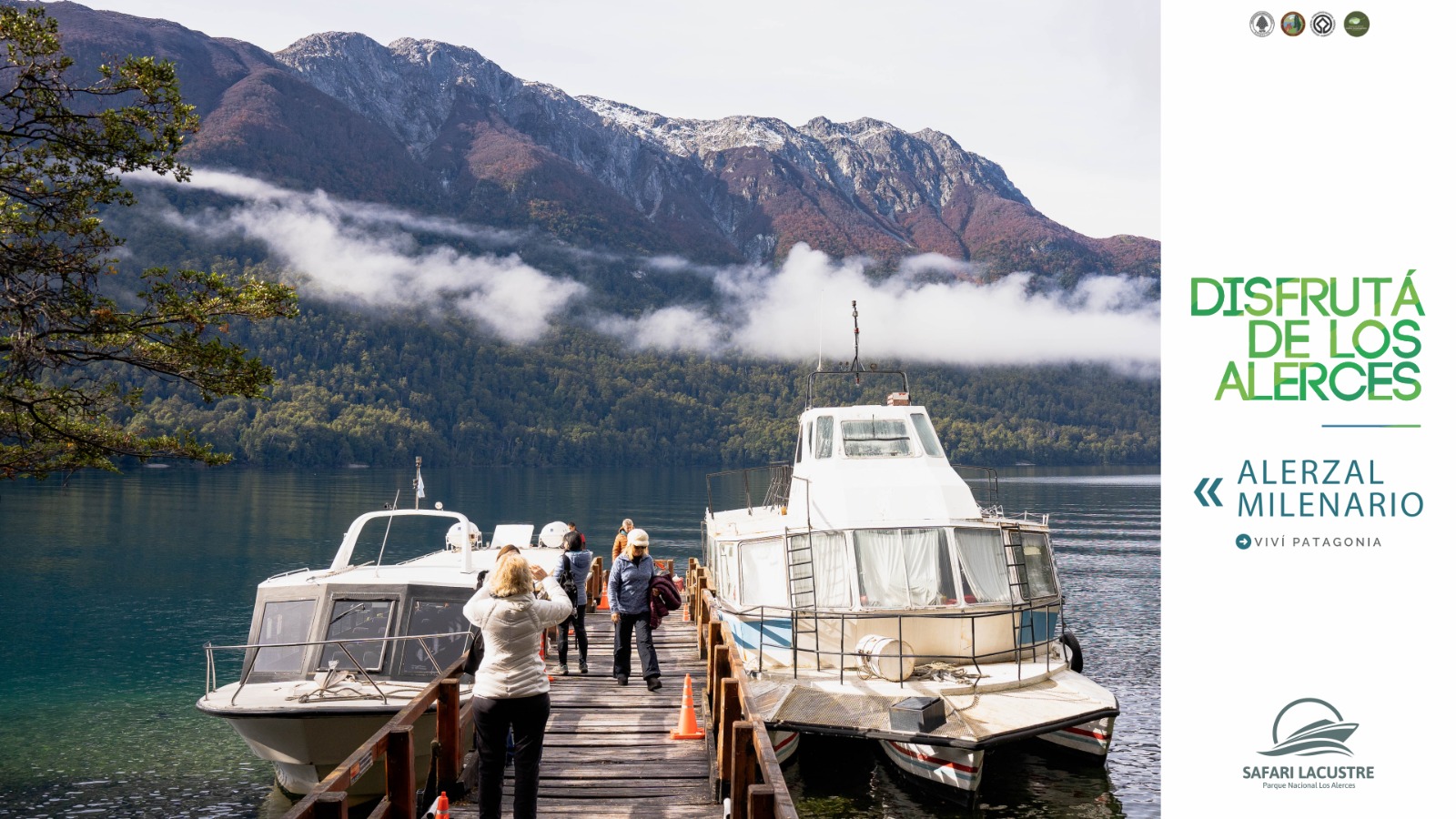 🌲 Excursion Alerces Milerarios. Parque Nacional Los Alerces 🏔️ - Imagen 12