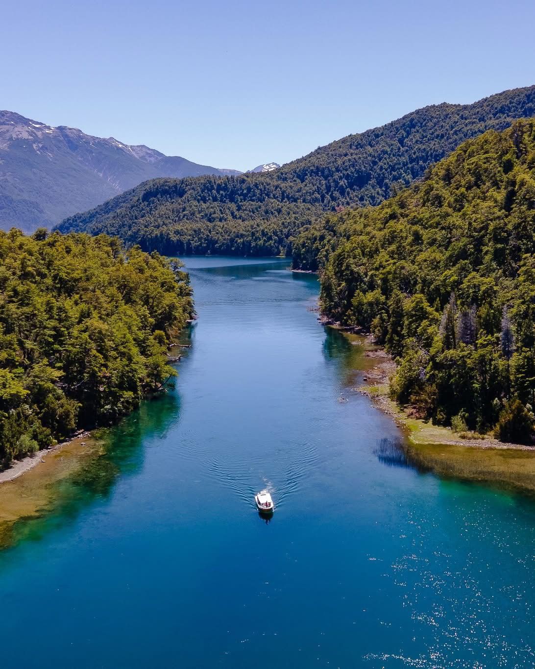 🌲 Excursion Alerces Milerarios. Parque Nacional Los Alerces 🏔️ - Imagen 10