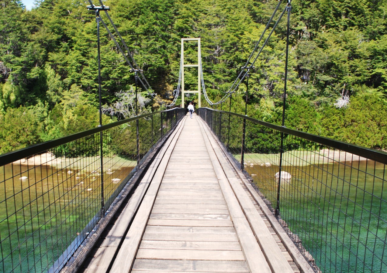 🌲 Excursion Alerces Milerarios. Parque Nacional Los Alerces 🏔️ - Imagen 11