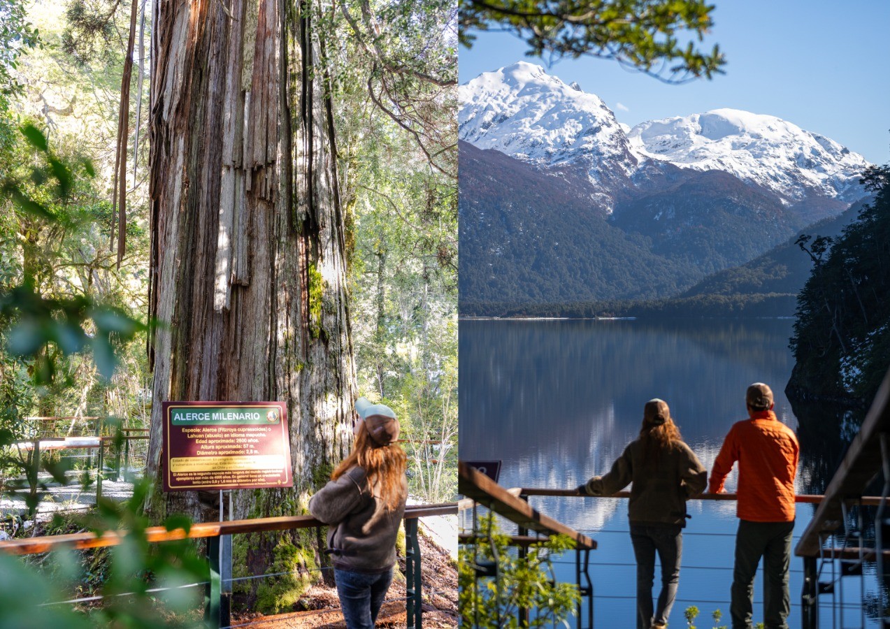 🌲 Excursion Alerces Milerarios. Parque Nacional Los Alerces 🏔️