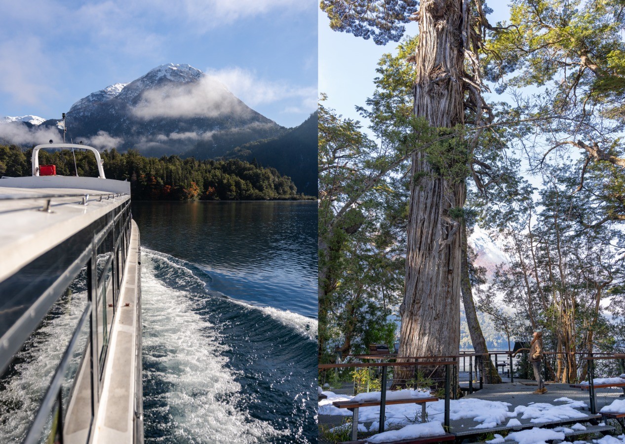🌲 Excursion Alerces Milerarios. Parque Nacional Los Alerces 🏔️ - Imagen 5