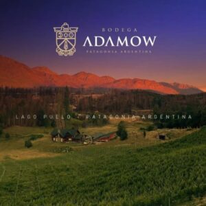 Bodega en Lago Puelo con degustacion y picada LowCost