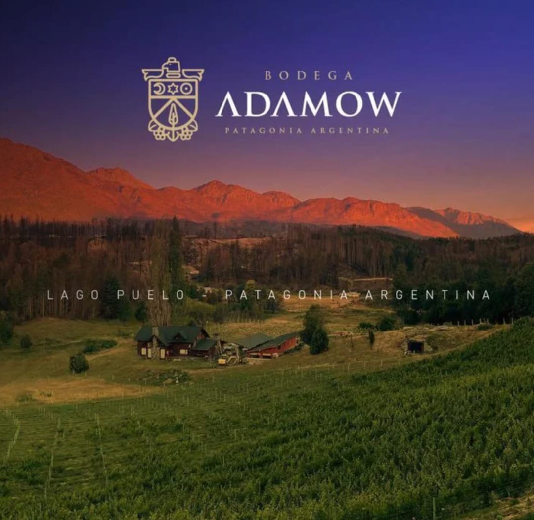 Bodega en Lago Puelo con degustacion y picada LowCost