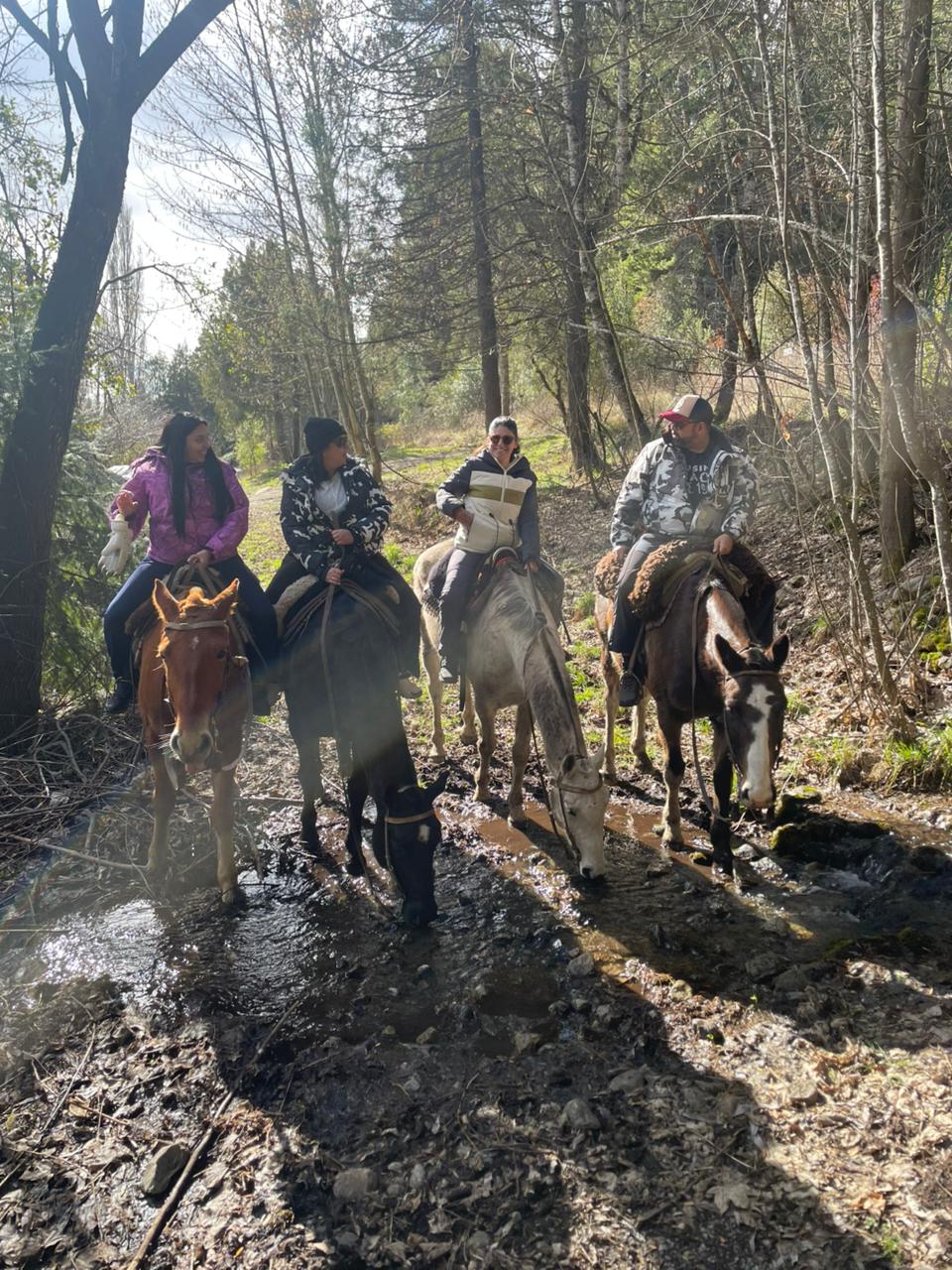 🐴Cabalgatas en El Bolson - Imagen 2