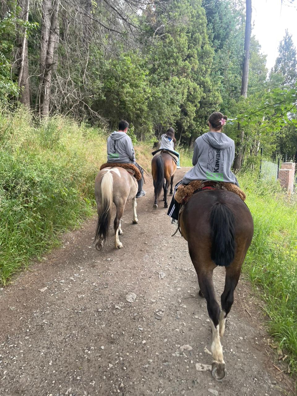 🐴Cabalgatas en El Bolson - Imagen 7