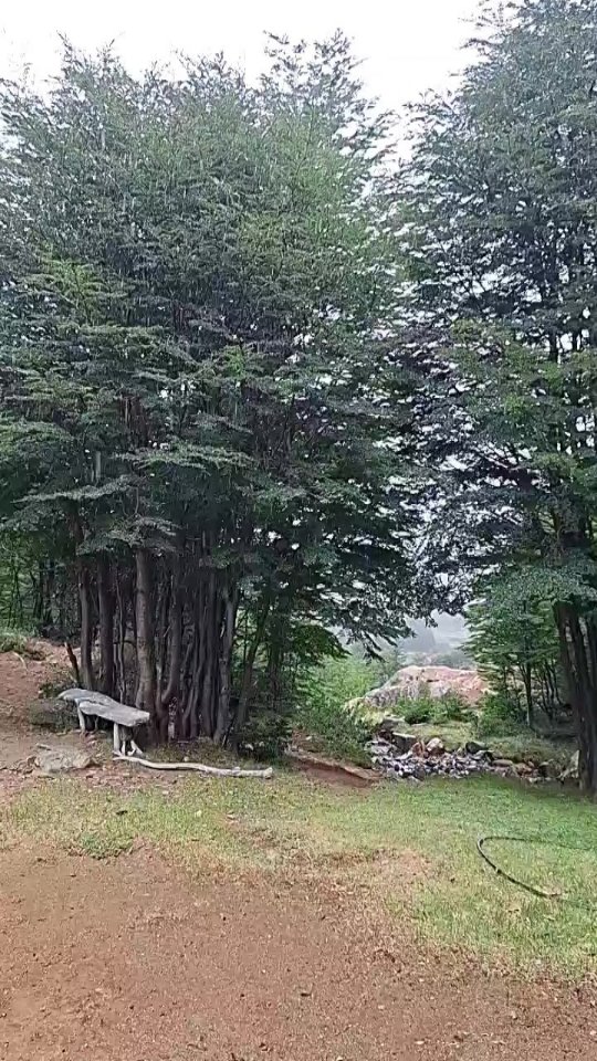 Trekking al Cerro Lindo y Refugio de Montaña en El Bolsón - Imagen 13
