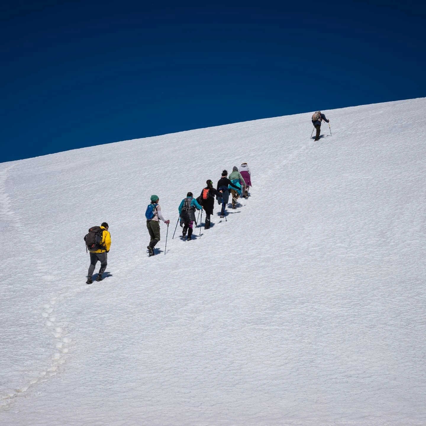 Trekking al Cerro Lindo y Refugio de Montaña en El Bolsón - Imagen 14