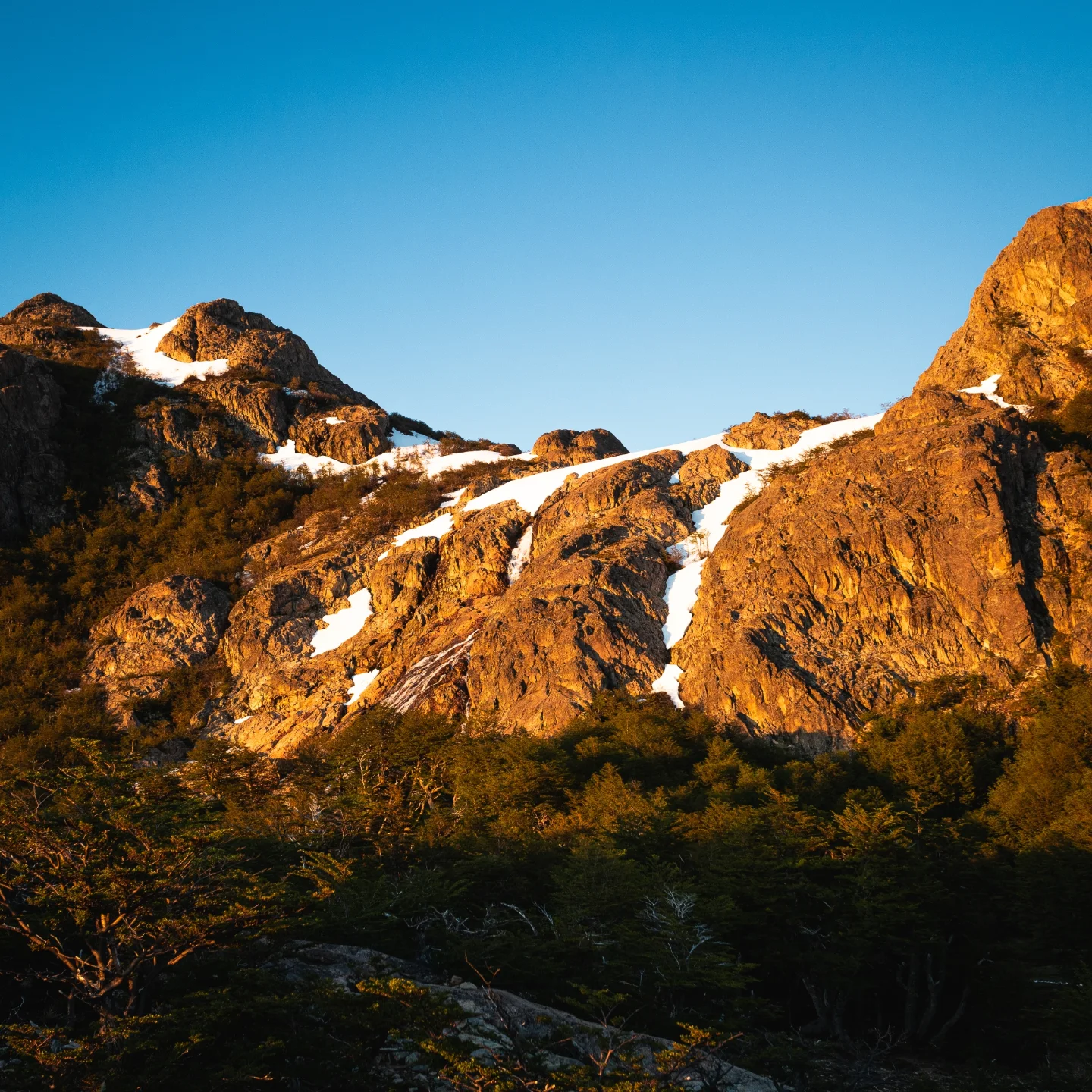 Trekking al Cerro Lindo y Refugio de Montaña en El Bolsón - Imagen 16