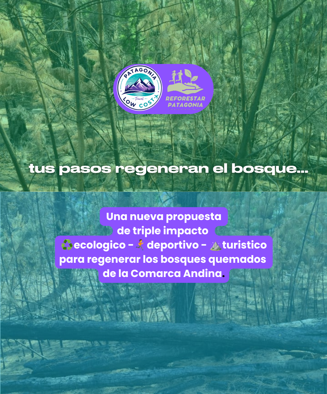 Reforestar Patagonia. Comarca andina. Deportes, turismo y ecologia