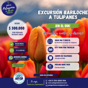 Excursion a Tulipanes en trevelin lowcost